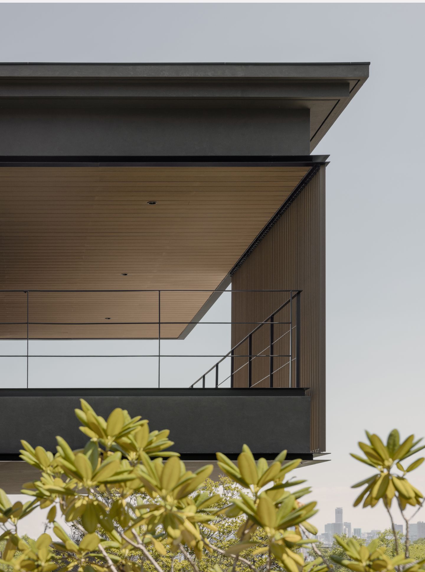 Project Big Detail Photo